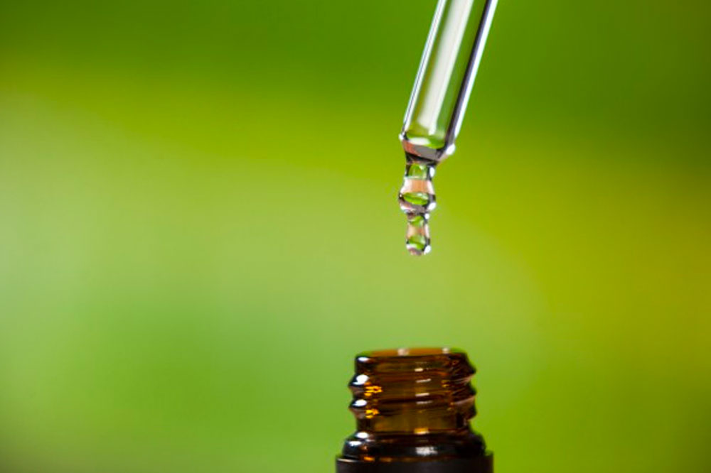 Things to Consider Before Using Essential Oils for Your Pet